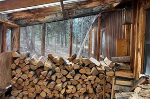 3800 Doe Valley Rd, Guffey, CO 80820 - Photo 4