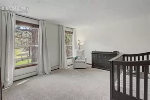 8310 Windfall Way, Colorado Springs, CO 80908 - Photo 22