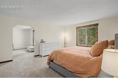 8310 Windfall Way, Colorado Springs, CO 80908 - Photo 6