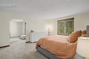 8310 Windfall Way, Colorado Springs, CO 80908 - Photo 6
