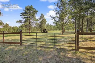 8310 Windfall Way, Colorado Springs, CO 80908 - Photo 46