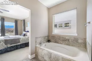 15734 Blue Pearl Ct, Monument, CO 80132 - Photo 30