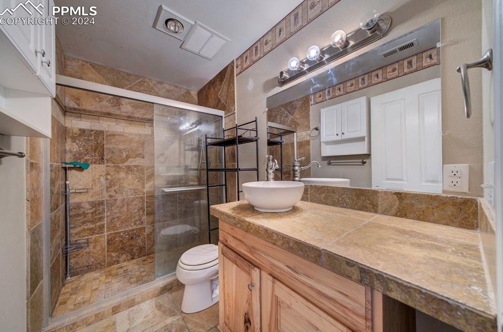 1309 Blue Mesa Dr, Divide CO 80814-9744 exterior