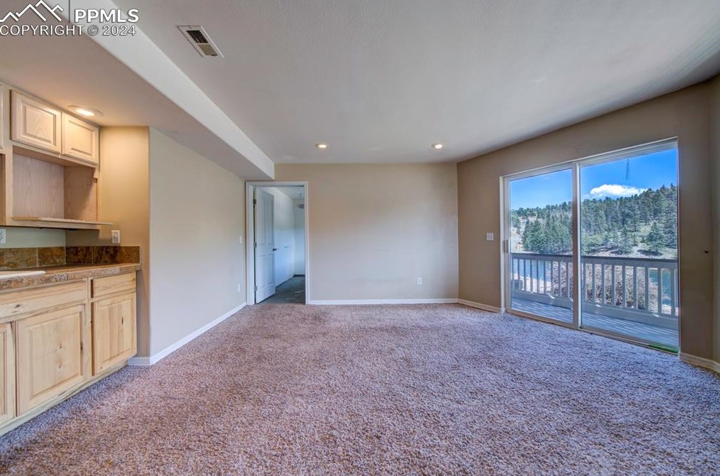 1309 Blue Mesa Dr, Divide CO 80814-9744 exterior