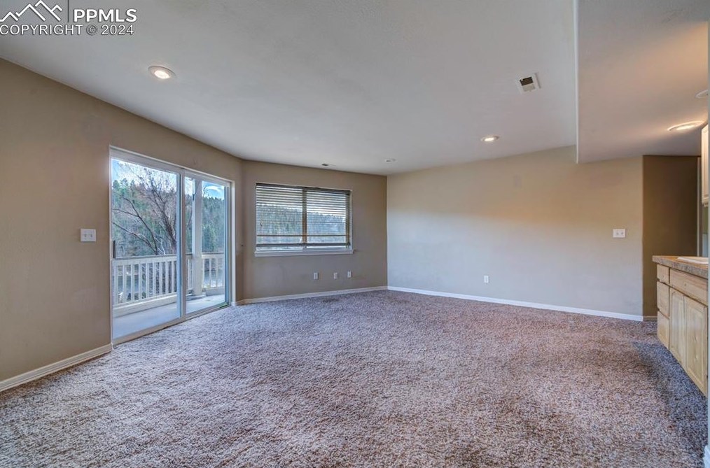 1309 Blue Mesa Dr, Divide CO 80814-9744 exterior