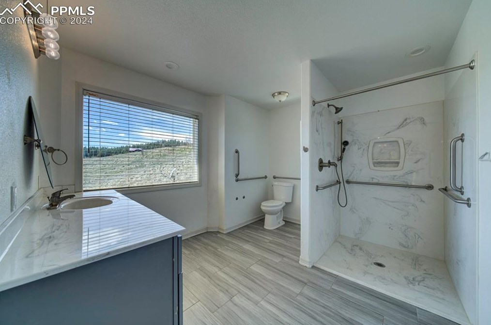 1309 Blue Mesa Dr, Divide CO 80814-9744 exterior