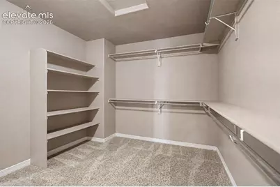 7926 Dutch Loop, Colorado Springs, CO 80925 - Photo 20