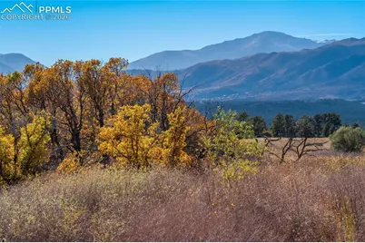 909 Sir Barton Drive, Colorado Springs, CO 80921 - Photo 50