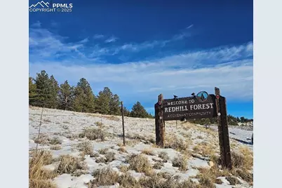 5585 Middle Fork Vista, Fairplay, CO 80440 - Photo 18