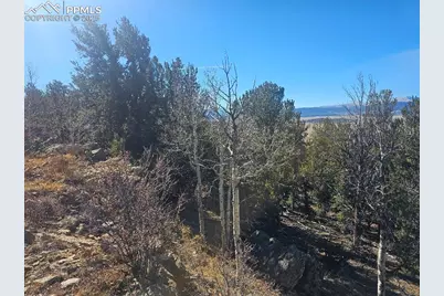 5585 Middle Fork Vista, Fairplay, CO 80440 - Photo 4