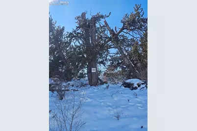 5585 Middle Fork Vista, Fairplay, CO 80440 - Photo 14