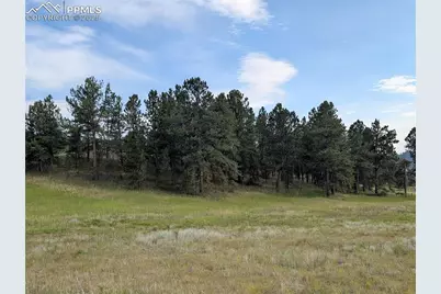 1379 S Mountain Estates Road, Florissant, CO 80816 - Photo 26