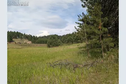 1379 S Mountain Estates Road, Florissant, CO 80816 - Photo 18