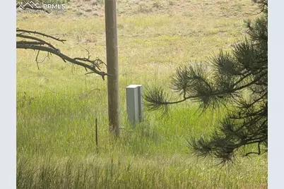 1379 S Mountain Estates Road, Florissant, CO 80816 - Photo 10