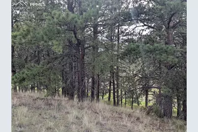 1379 S Mountain Estates Road, Florissant, CO 80816 - Photo 28