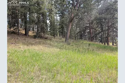 1379 S Mountain Estates Road, Florissant, CO 80816 - Photo 16