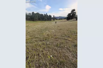 1379 S Mountain Estates Road, Florissant, CO 80816 - Photo 22