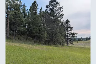 1379 S Mountain Estates Road, Florissant, CO 80816 - Photo 24