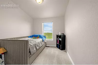 3245 Pennys Peak View, Peyton, CO 80831 - Photo 10
