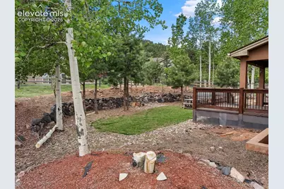 1121 W Bowman Avenue, Woodland Park, CO 80863 - Photo 4