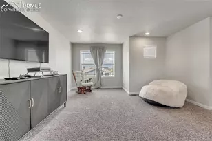 9735 Cronin St, Fountain, CO 80817 - Photo 20