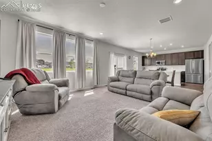 9735 Cronin St, Fountain, CO 80817 - Photo 14