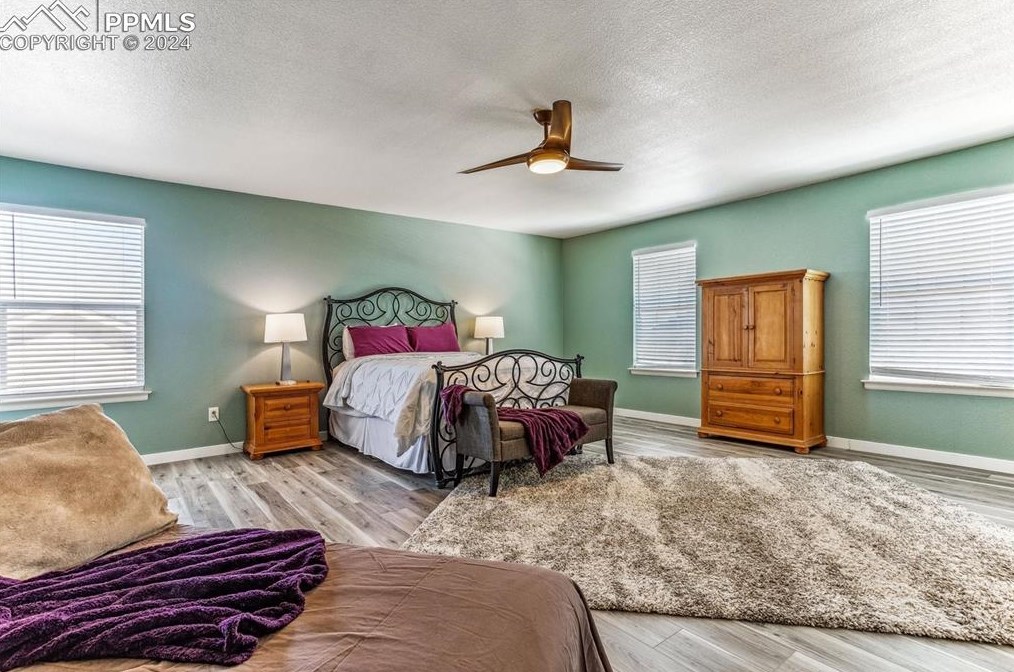 1183 Kittery St, Castle Rock CO 80104-3281 exterior