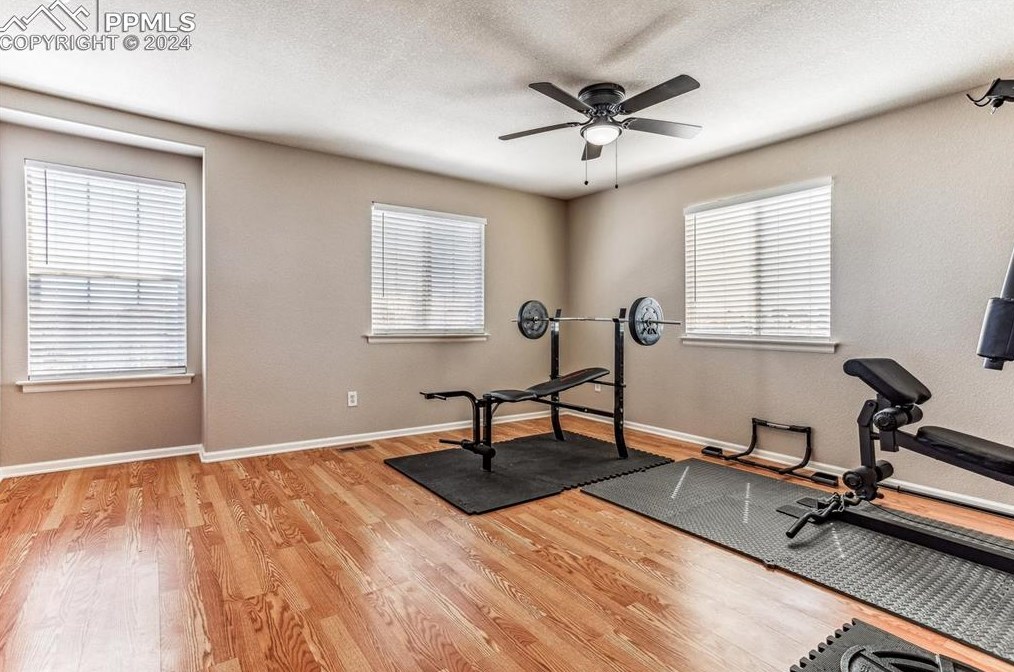 1183 Kittery St, Castle Rock CO 80104-3281 exterior