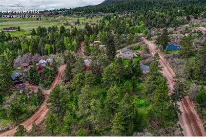 Virginia Avenue, Palmer Lake, CO 80133 - Photo 2