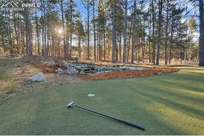 15805 Fools Gold Lane, Colorado Springs, CO 80921 - Photo 46