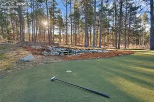 15805 Fool's Gold Ln, Colorado Springs, CO 80921 - Photo 46