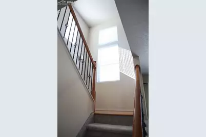 7730 Condessa Drive, Colorado Springs, CO 80923 - Photo 12