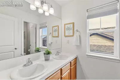 4955 Rabbit Mountain Court, Colorado Springs, CO 80924 - Photo 28