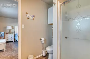 17 Garfield Cir, Florissant, CO 80816 - Photo 20