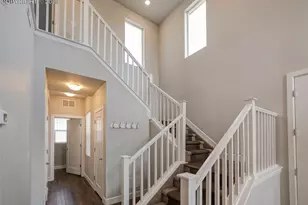 10021 Green Thicket Grv, Colorado Springs, CO 80924 - Photo 20