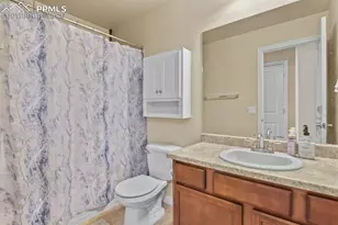 6776 Red Cardinal Loop, Colorado Springs, CO 80908 - Photo 30