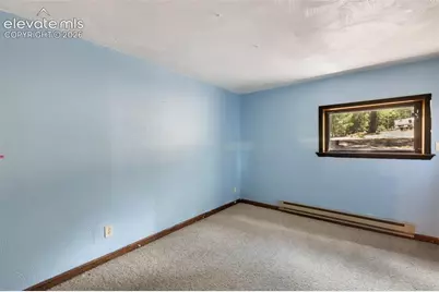 124 Cradle Lake Drive, Divide, CO 80814 - Photo 26
