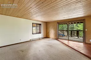 124 Cradle Lake Dr, Divide, CO 80814 - Photo 22