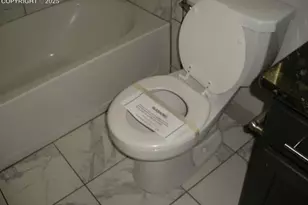 7265 Alpine Daisy Dr, Colorado Springs, CO 80925 - Photo 12