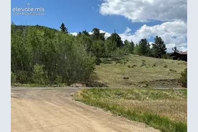 7142 County Road 92, Lake George, CO 80827 - Photo 12