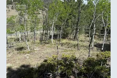 7142 County Road 92, Lake George, CO 80827 - Photo 4