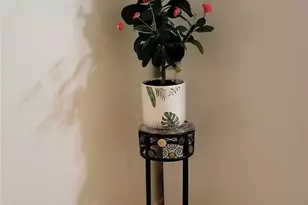 2428 E Monument St, Colorado Springs, CO 80909 - Photo 14