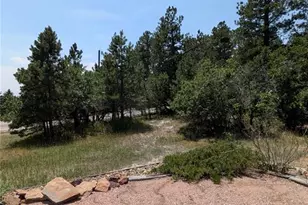 15050 Sun Hills Dr, Colorado Springs, CO 80921 - Photo 36
