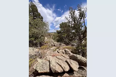 506 Castle Mountain Drive, Guffey, CO 80820 - Photo 14