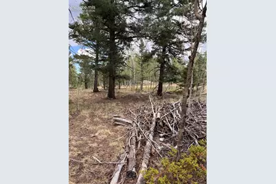 506 Castle Mountain Drive, Guffey, CO 80820 - Photo 6