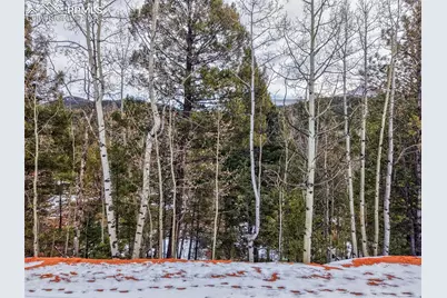 1181 Calcite Drive, Divide, CO 80814 - Photo 2