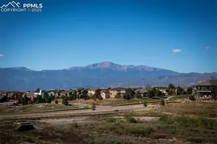 8930 Frolic Vw, Colorado Springs, CO 80924 - Photo 44