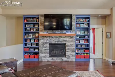 293 Daniwood Grove, Florissant, CO 80816 - Photo 16