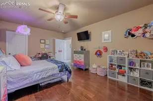 293 Daniwood Grove, Florissant, CO 80816 - Photo 34