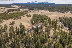 293 Daniwood Grove, Florissant, CO 80816 - Photo 44